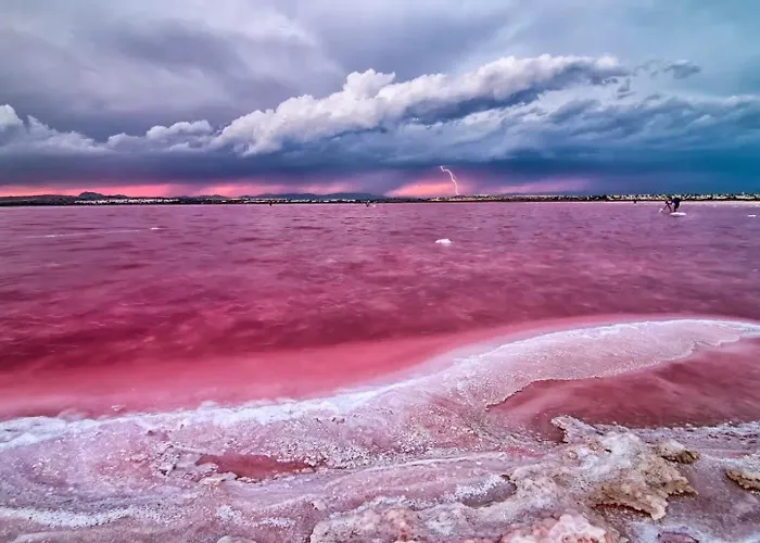 Locos Appartement Torrevieja