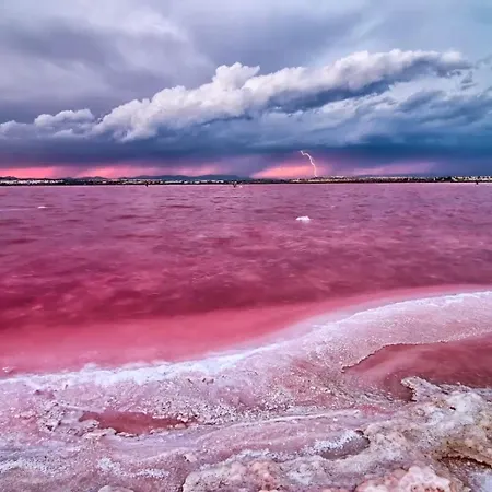 Locos Апартаменты Торевьиа